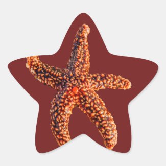 Starfish