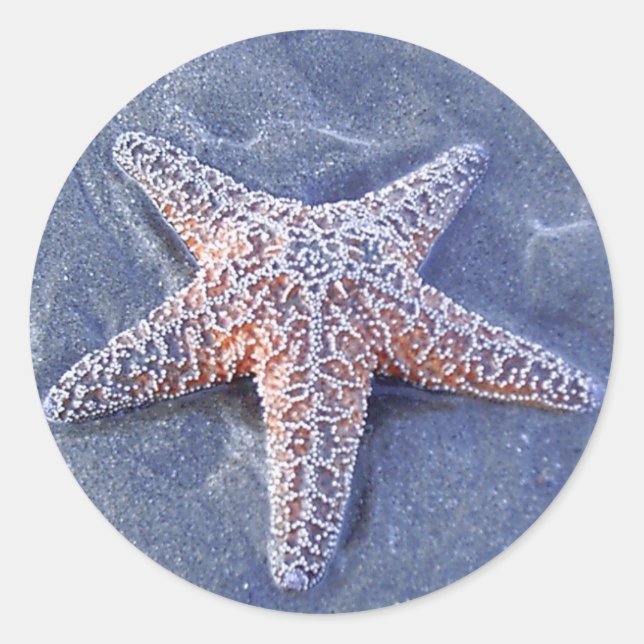 Starfish Sticker (Front)