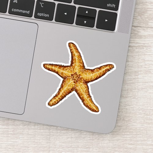 Starfish  sticker