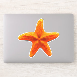 Starfish Sticker