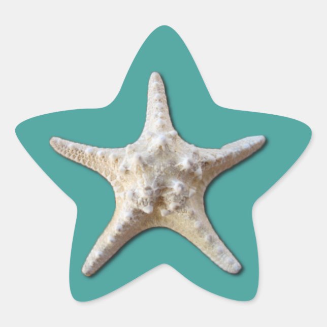 Starfish Sticker (Front)