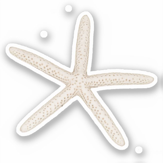Starfish Sticker Label (Front)