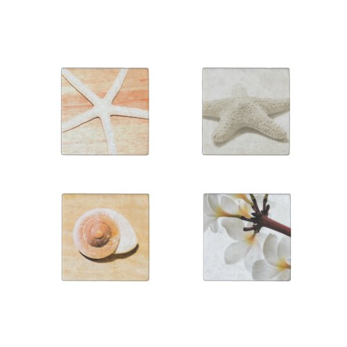 Starfish Stone Magnet