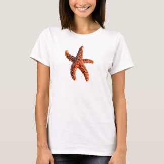 Starfish