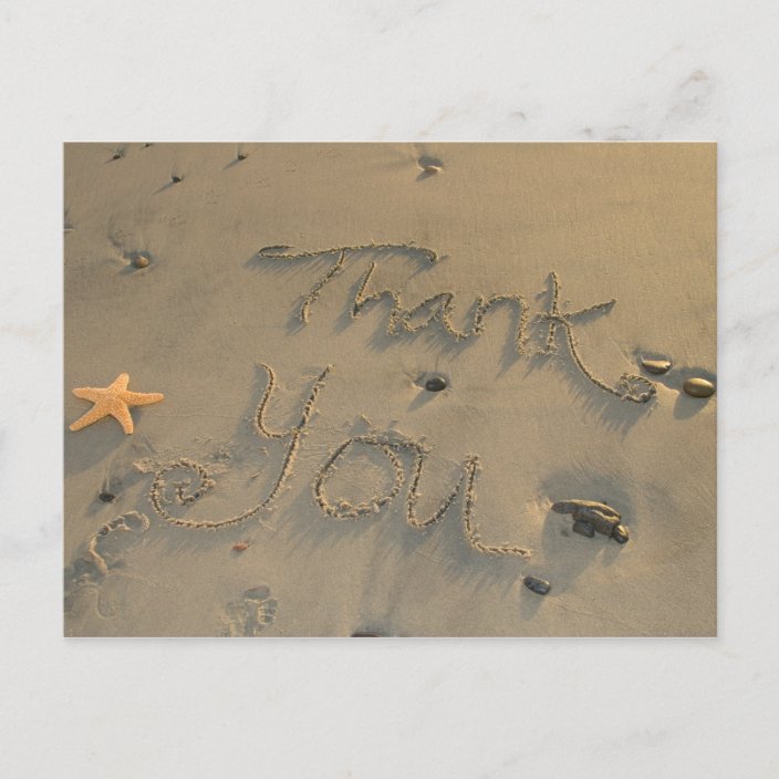 Starfish Thank You Postcard | Zazzle.com