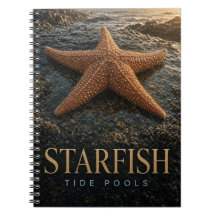 Starfish Tide Pools Wildlife ANIMAL