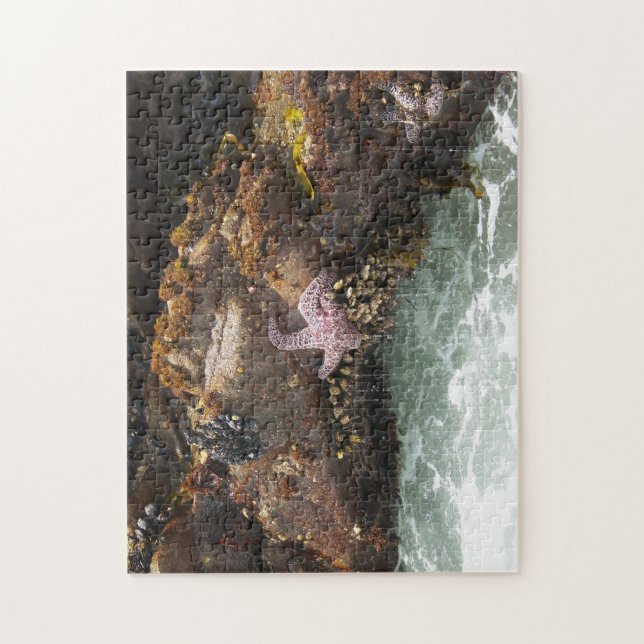 Starfish Tidepool Jigsaw Puzzle (Vertical)