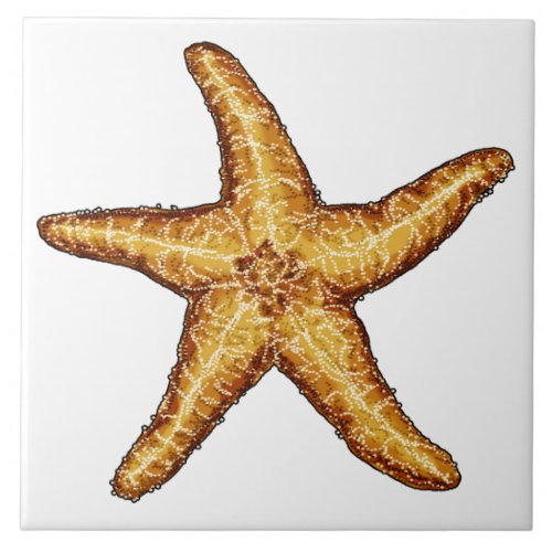 Starfish Tile