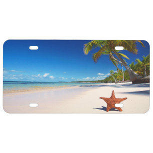 Starfish Tropical Sandy Beach Palm Tree Island License Plate