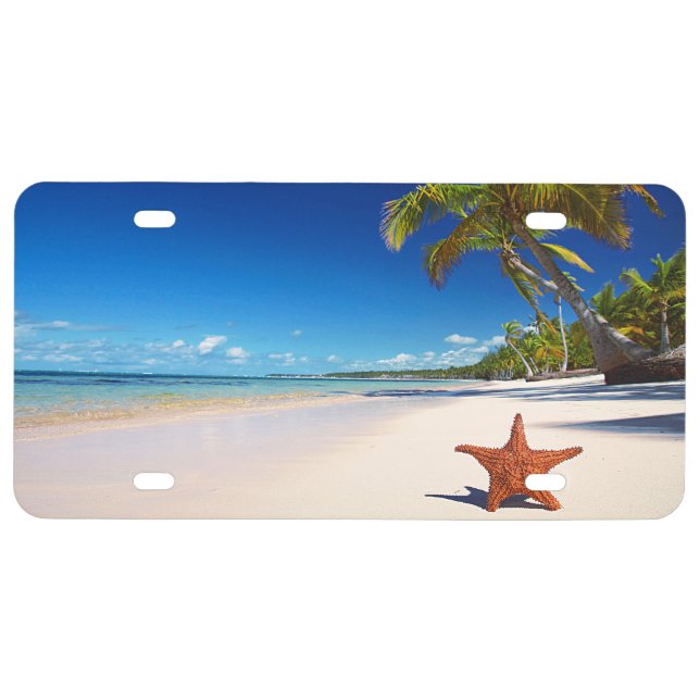 Starfish Tropical Sandy Beach Palm Tree Island License Plate (Front)