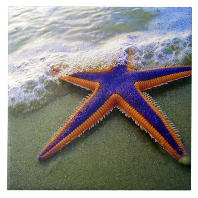 Starfish Tropical Sandy Beach Sea Wave Ceramic Tile (Front)