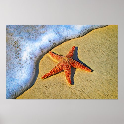 Starfish washed ashore poster