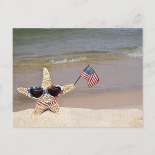 starfish with American flag Postcard