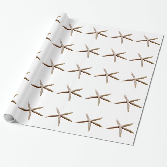 Starfish Wrapping Paper (Unrolled)