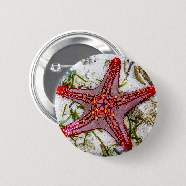Starfish, Zanzibar, Tanzania Button (Front & Back)