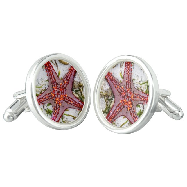 Starfish, Zanzibar, Tanzania Cufflinks (Angled)