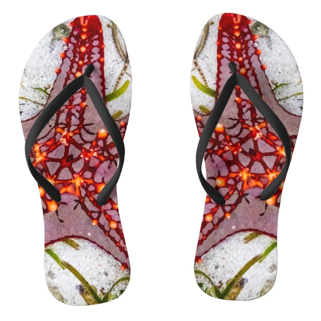 Starfish, Zanzibar, Tanzania Flip Flops (Footbed)
