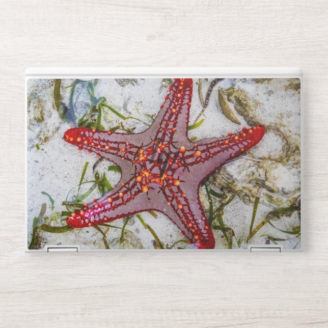 Starfish, Zanzibar, Tanzania HP Laptop Skin (Front)