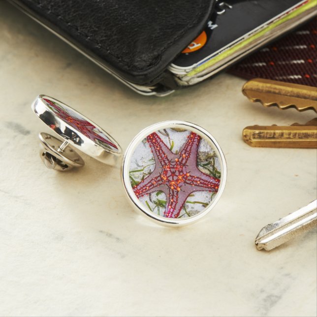 Starfish, Zanzibar, Tanzania Lapel Pin (In Situ)