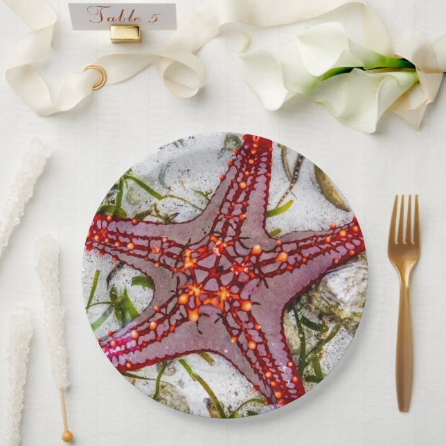 Starfish, Zanzibar, Tanzania Paper Plates (Wedding)