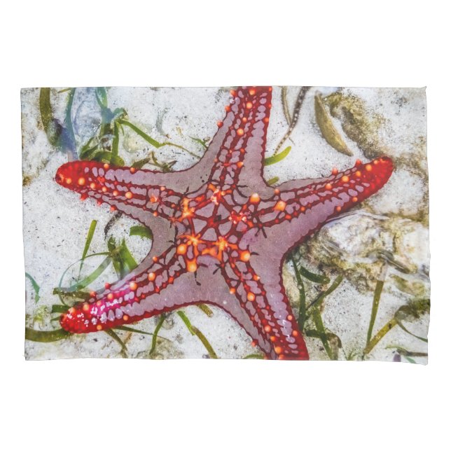 Starfish, Zanzibar, Tanzania Pillow Case (Front)