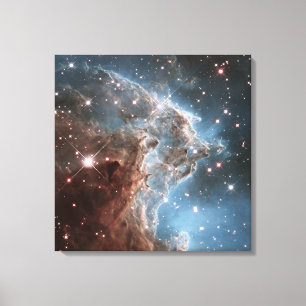 Starforming Region Ngc 2174, Monkey Head Nebula. Canvas Print