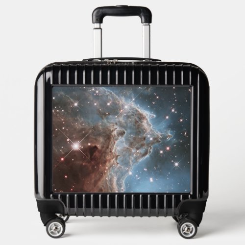 Starforming Region Ngc 2174 Monkey Head Nebula Luggage