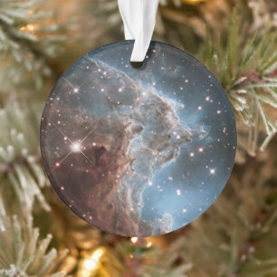 Starforming Region Ngc 2174, Monkey Head Nebula. Ornament
