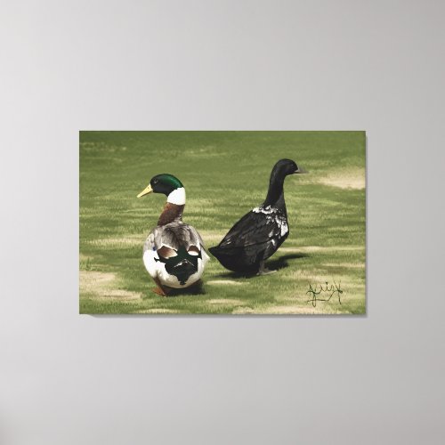 Stargazer drake and his Lady duck _ Canvas