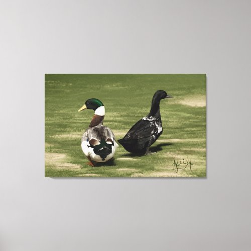 Stargazer drake and his Lady duck _ Canvas