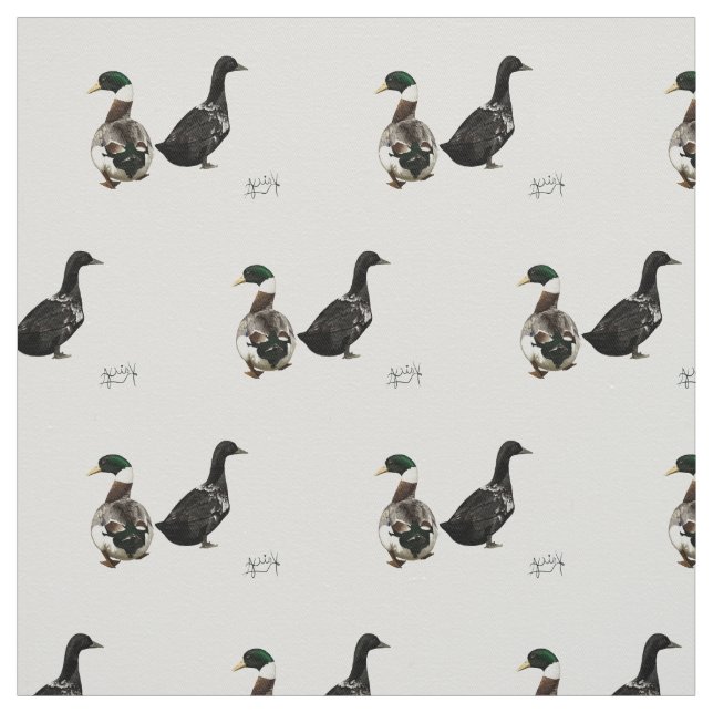 Stargazer Drake and his Lady Duck fabric - white (Swatch)