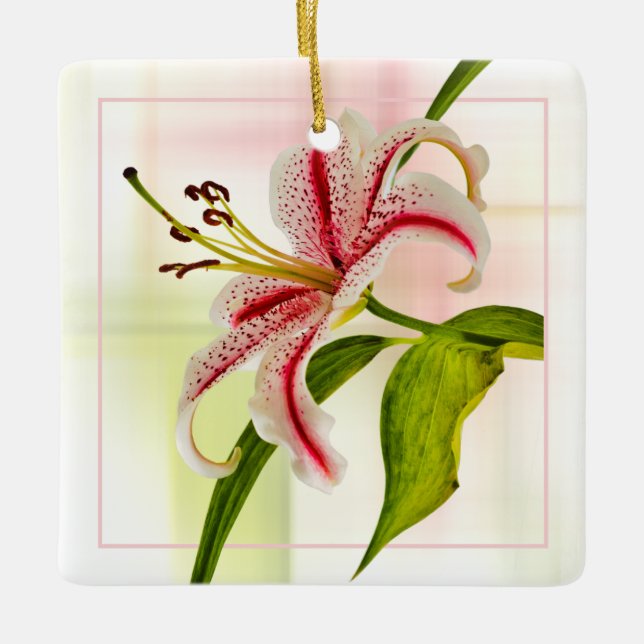 Stargazer Elegant Star Lily Floral Photography Ceramic Ornament (Front)