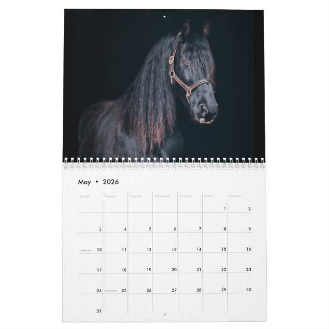 Stargazer Farm Horses Calendar (May 2026)