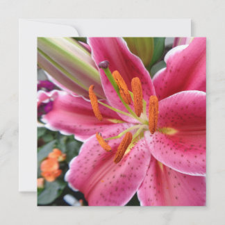 Stargazer Invitation