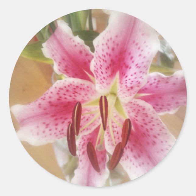 stargazer lilies #1 classic round sticker (Front)
