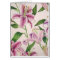 Stargazer Lilies