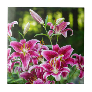 Stargazer Lilies Ceramic Tile