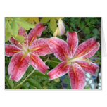 Stargazer Lilies Garden Floral Card