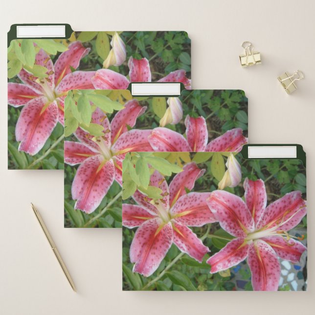 Stargazer Lilies Garden Floral File Folder (Set)