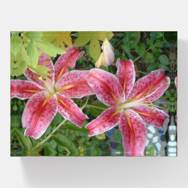Stargazer Lilies Garden Floral Paperweight (Front)