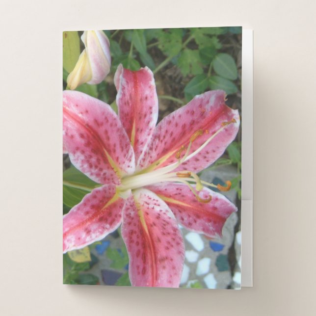 Stargazer Lilies Garden Floral Pocket Folder (Front)