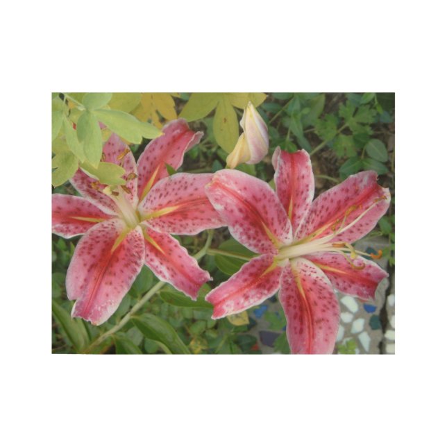 Stargazer Lilies Garden Floral Wood Poster (Front)