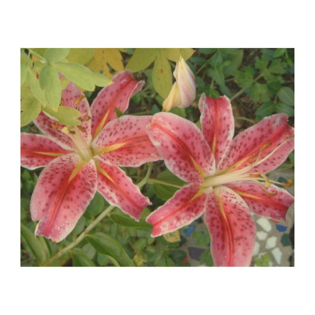 Stargazer Lilies Garden Floral Wood Wall Decor (Front)