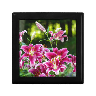 Stargazer Lilies Jewelry Box