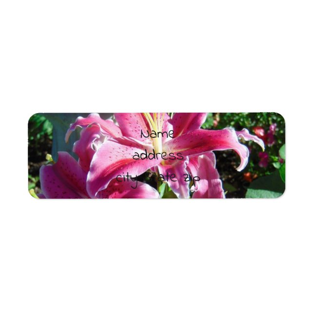 stargazer lilies label (Front)