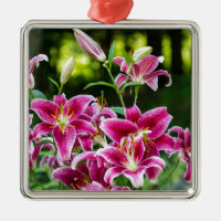 Stargazer Lilies