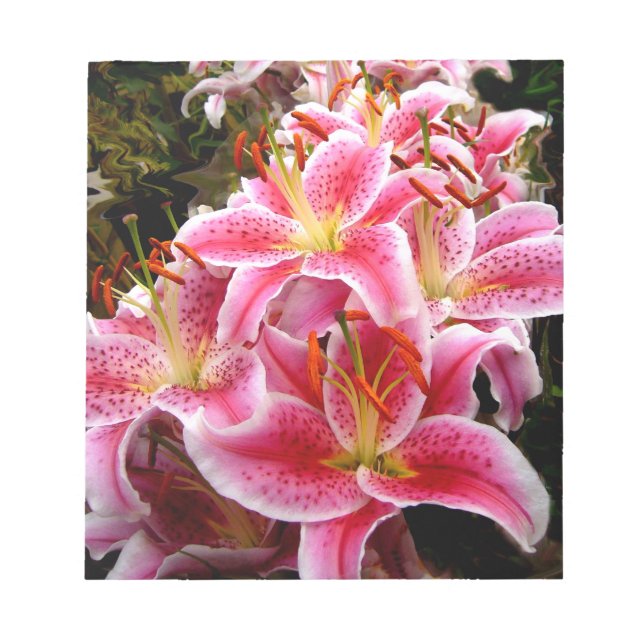 "Stargazer" Lilies Notepad (Front)