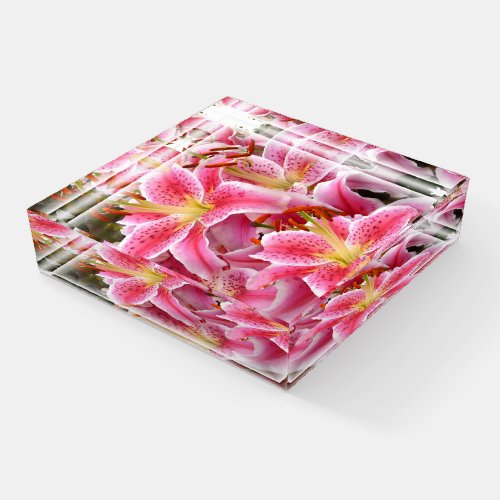 Stargazer Lilies Paperweight