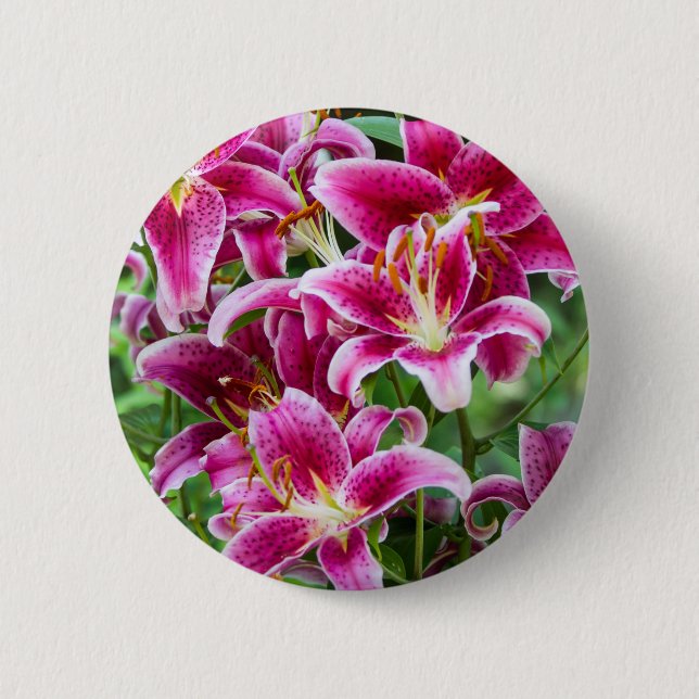 Stargazer Lilies Pinback Button (Front)