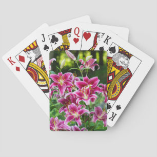 Stargazer Lilies  Poker Cards